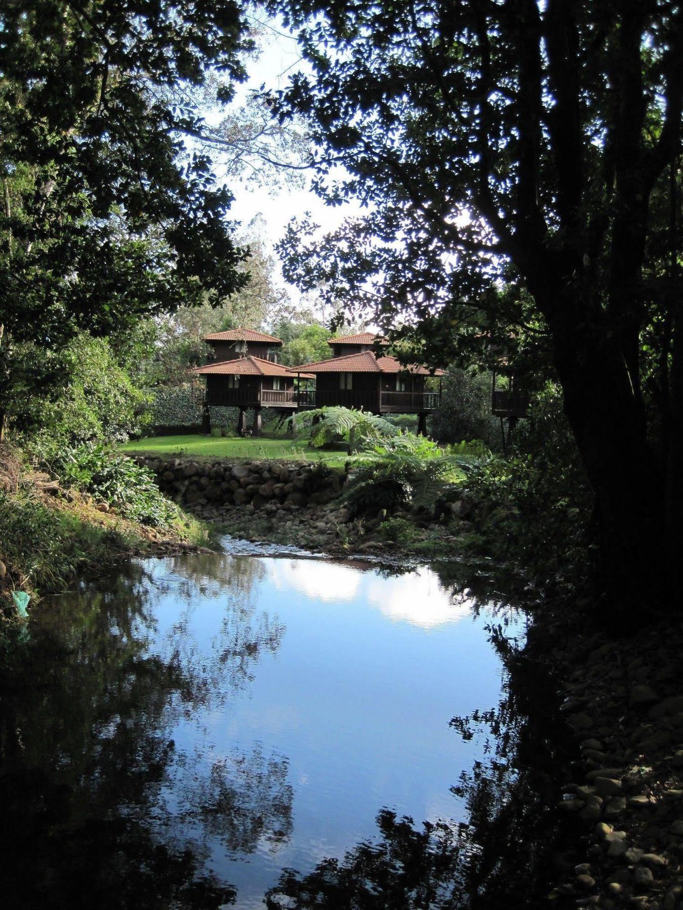 Santo Antonio da Serra Quinta Das Eiras מראה חיצוני תמונה