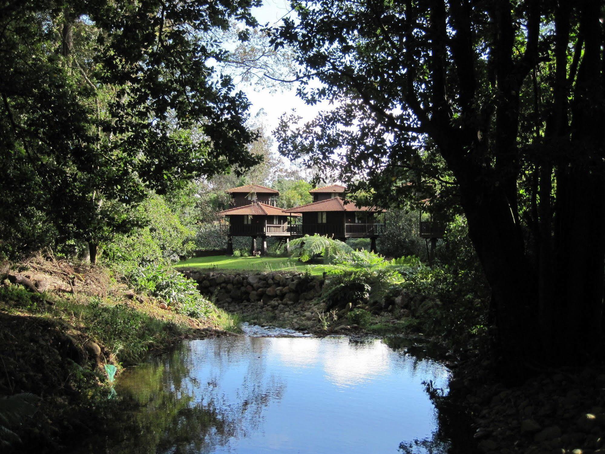 Santo Antonio da Serra Quinta Das Eiras מראה חיצוני תמונה